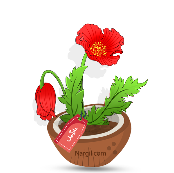  Nargil - corn poppy